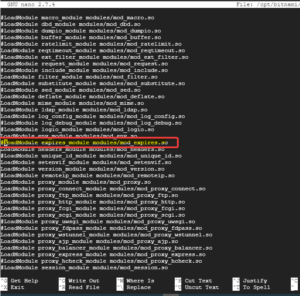 How To Add Expires Headers On Bitnami WordPress [2024]