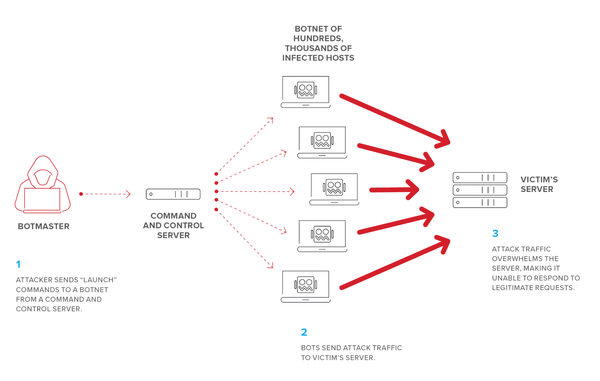 Bots, Spiders, and DDoS Attacks: that affects website security