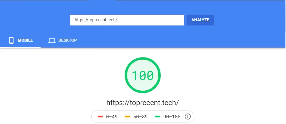 Google Page Speed Insight 1