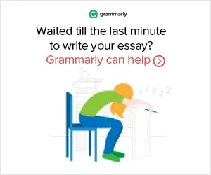 grammarly banner 300x250 1 grammarly-banner