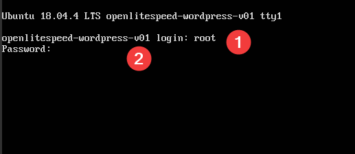 Connect Compute Engine with SSH Terminal