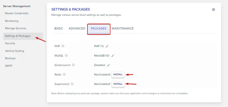 Install Optional Packages Like the Redis on Cloudways