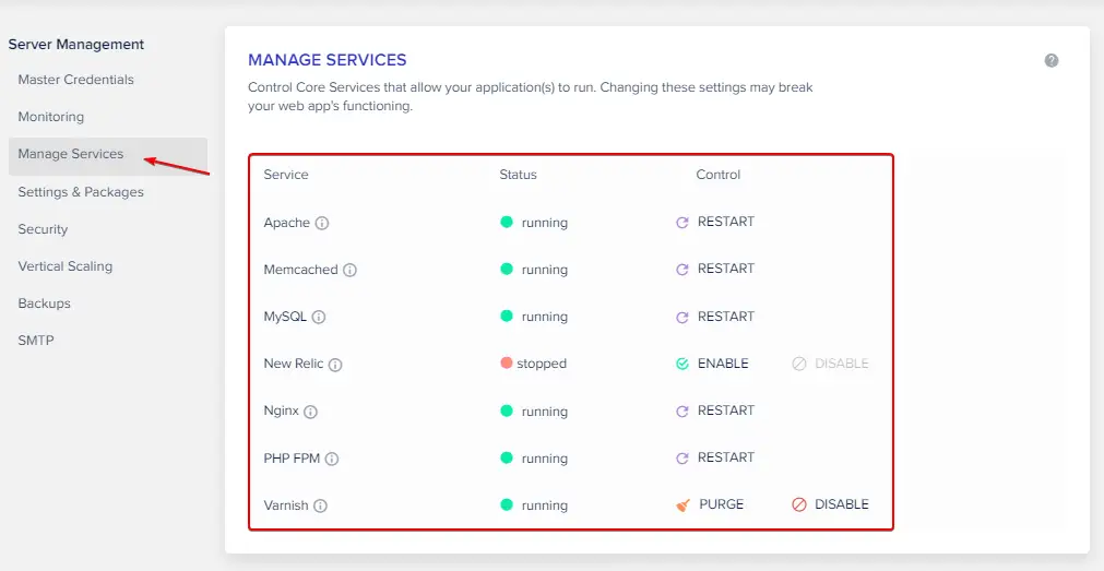 Manage Services on Cloudways