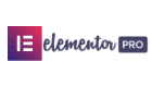 Elementor Elementor pro