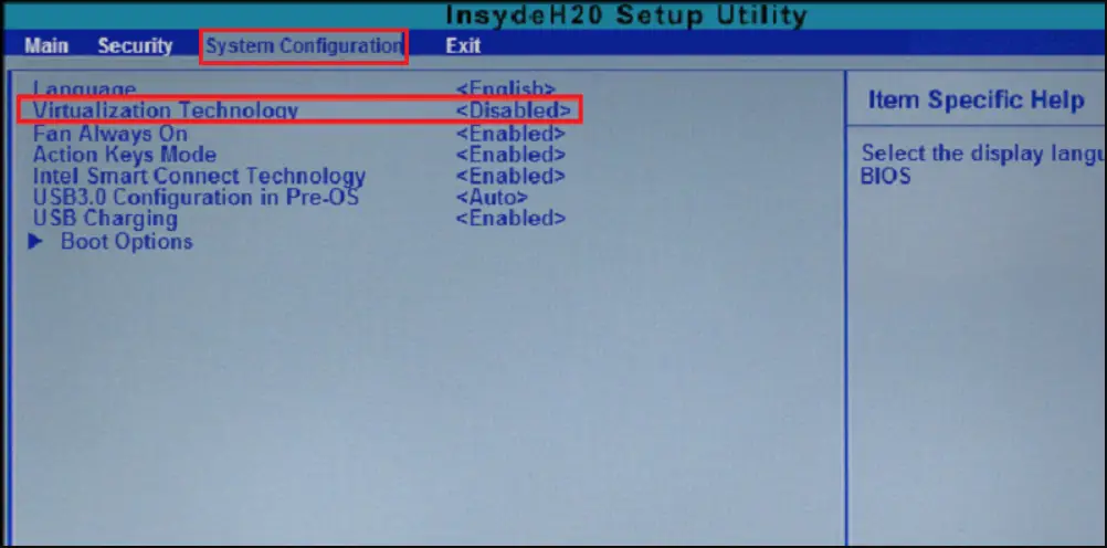 BIOS Setup to enable virtualization