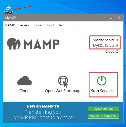 start mamp services