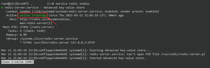 redis server status