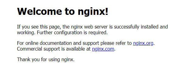 Nginx Server localhost