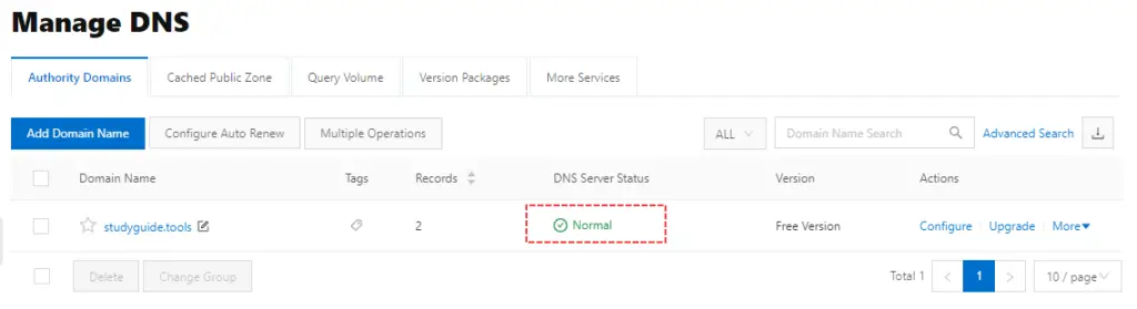 Check DNS Status