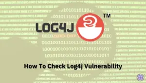 How To Check Log4j Vulnerability