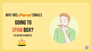 Why are cPanel Emails Going To Spam Box