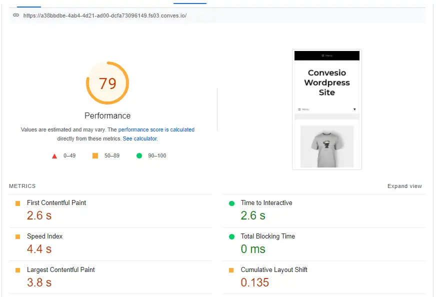 PageSpeed Insight Speed Test Report for Convesio