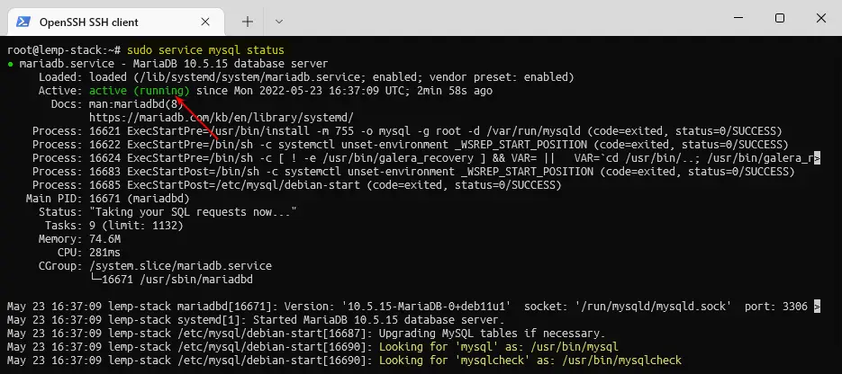 MariaDB Service Status