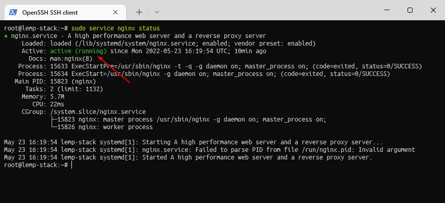 Nginx Service status running