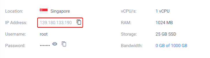 Public IP Address of Vultr Cloud Server LAMP