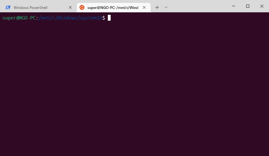 Windows Terminal Without Errors, Running Ubuntu 22.04 LTS