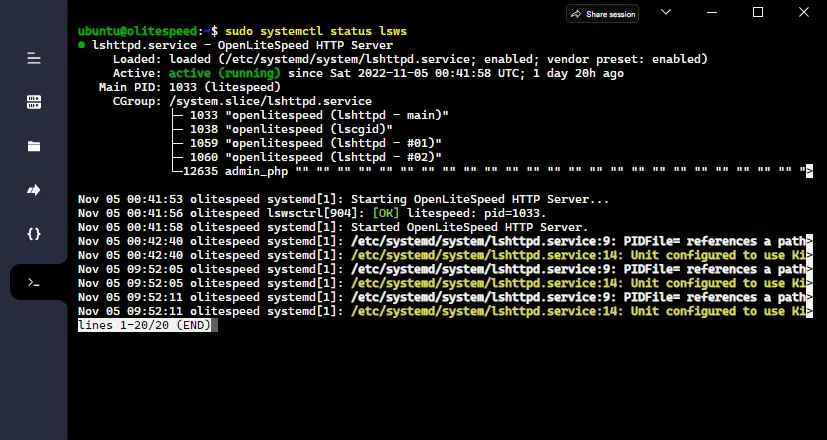 Connect SSH and Check LSWS status