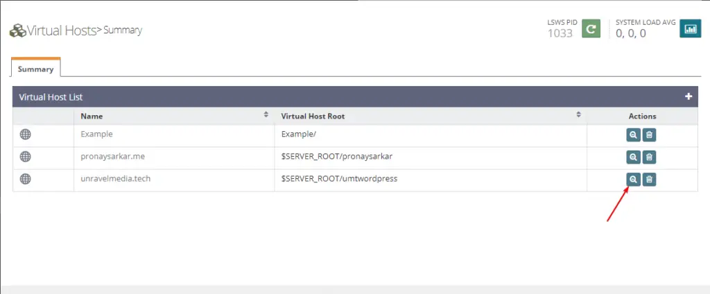 Edit newly created virtual host on OpenLiteSpeed