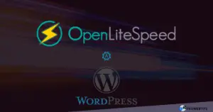 Install WordPress on OpenLiteSpeed