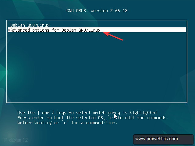 Advanced Options for Linux - Debian